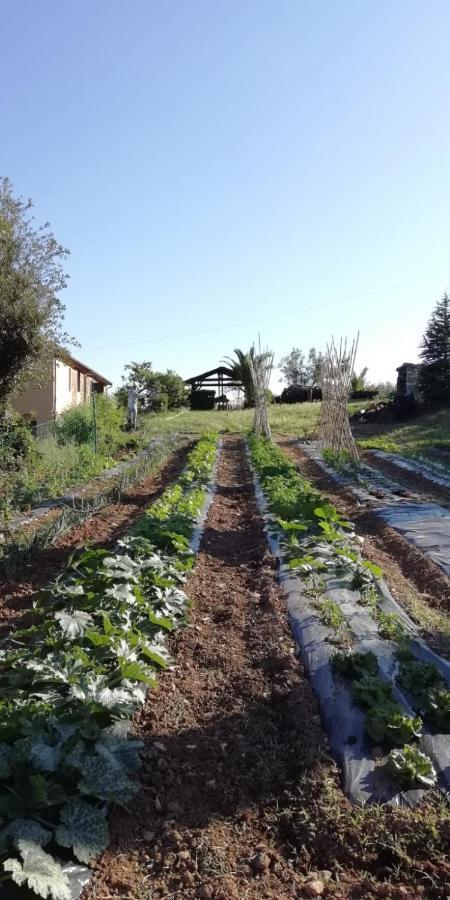 Podere Baloo Суверето Екстер'єр фото